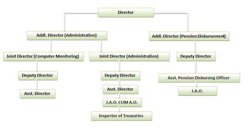 TA Organizational Structure