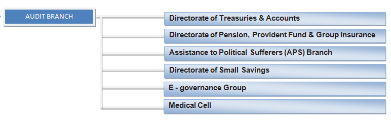 Division of Audit Branch