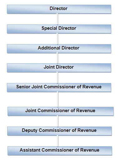 DRI&E Structure